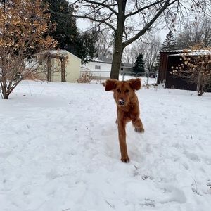 Meet your Posher, Mars